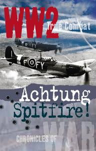Achtung Spitfire! (True Combat)